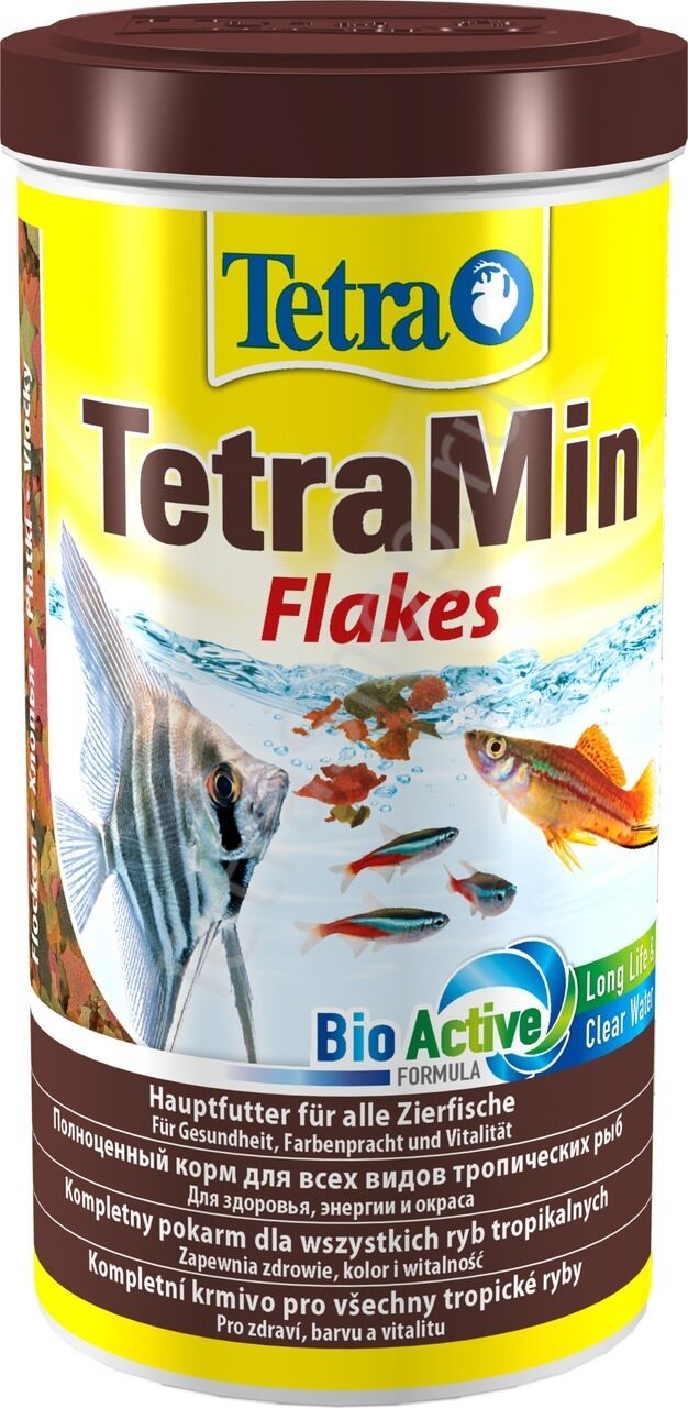 minnow treats for cats